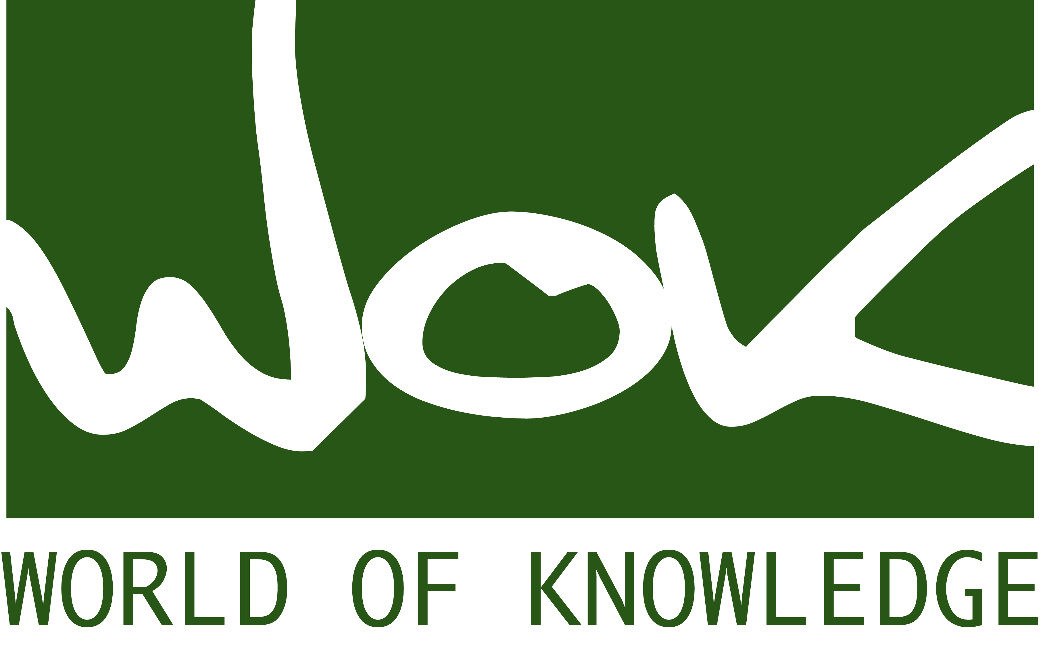 WOKcraft logo tagline 141208